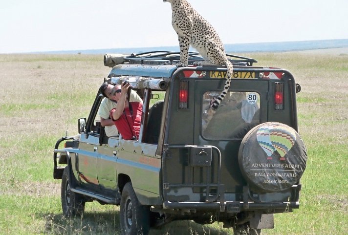 Masai Mara Fly-In Safari Superior ab/bis Mombasa