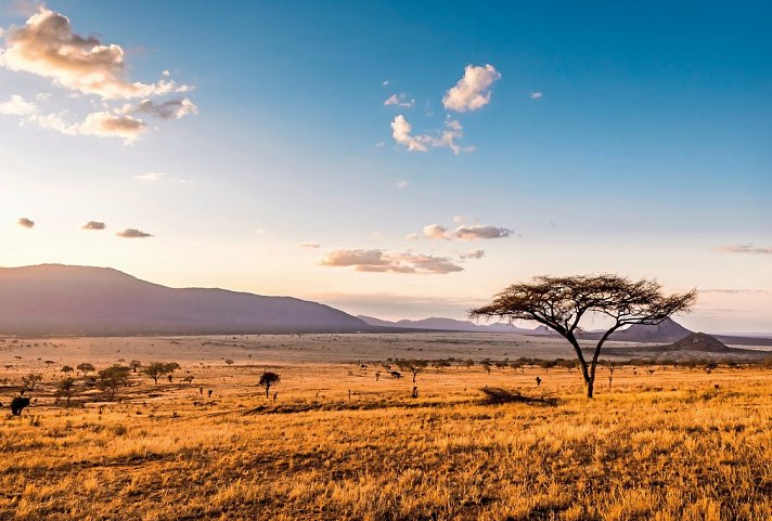 Masai Mara Fly-In Safari Superior ab/bis Mombasa