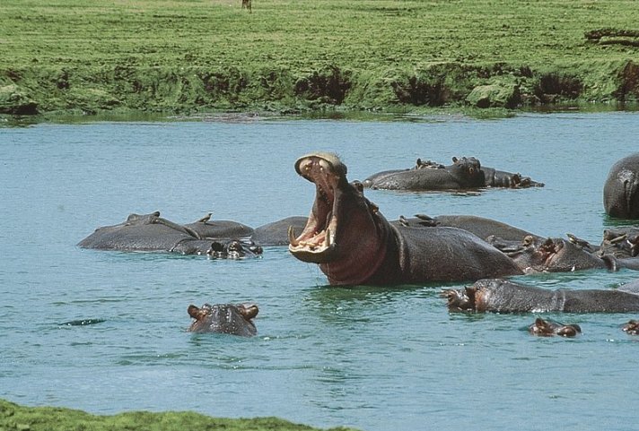 Tsavo Abenteuer