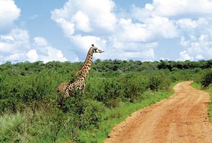 Tsavo Abenteuer