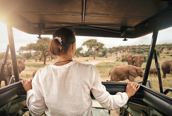 Die große Kenia Safari