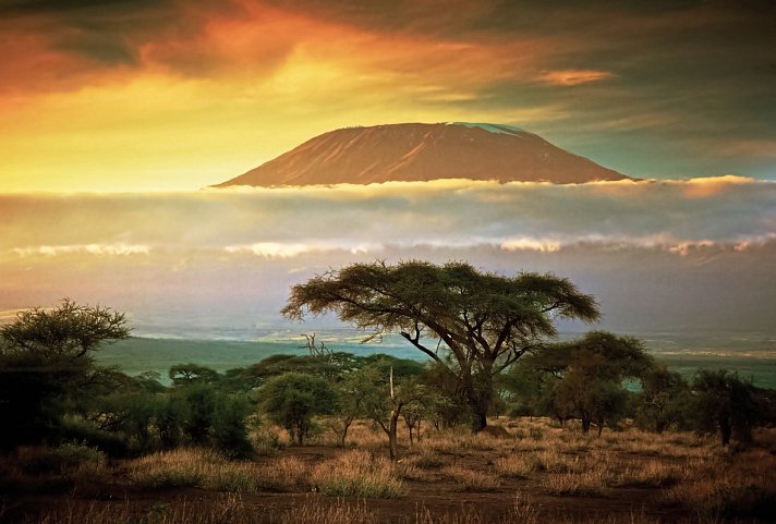 Karibu Kenia (Privatreise)