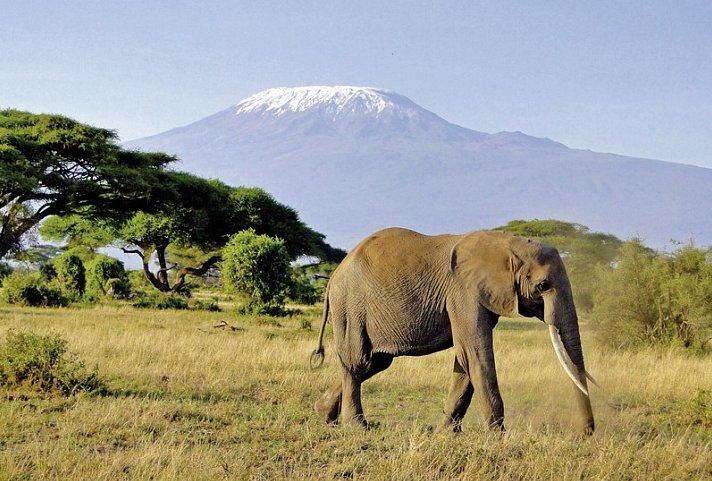 Tsavo & Amboseli