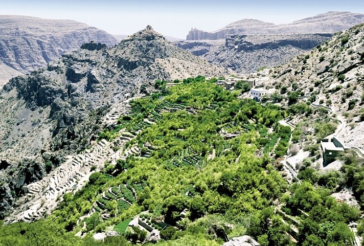 Oman - Land des Weihrauchs