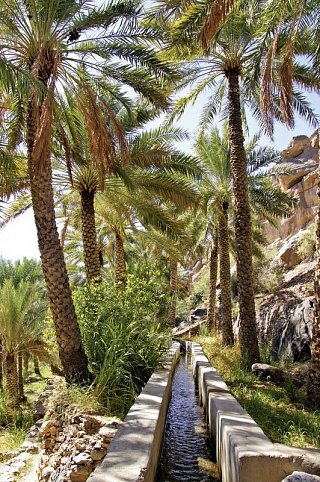 Faszinierendes Sultanat Oman zum Selberfahren