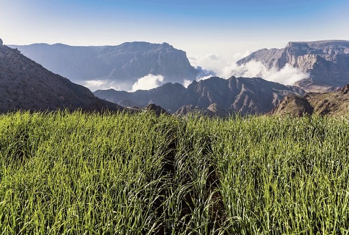 Kontrastreicher Oman zum Selberfahren