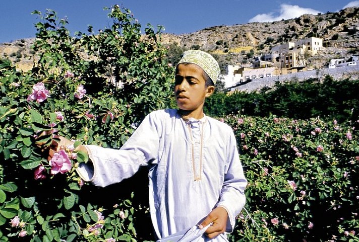 Oman entdecken mit Chauffeur