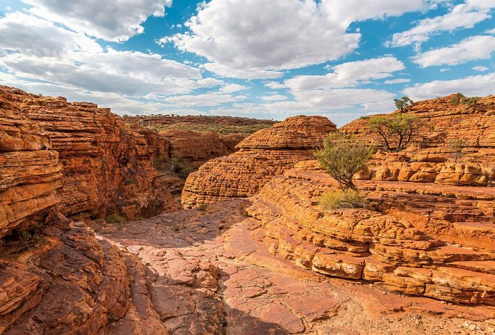 Vielfalt Australien & Ostküste (18 Tage, Melbourne-Brisbane)