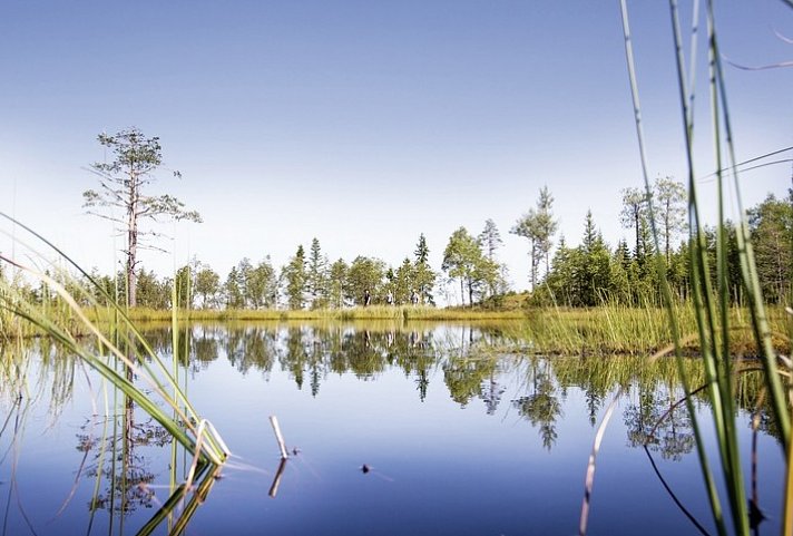 Familienreise in Schweden