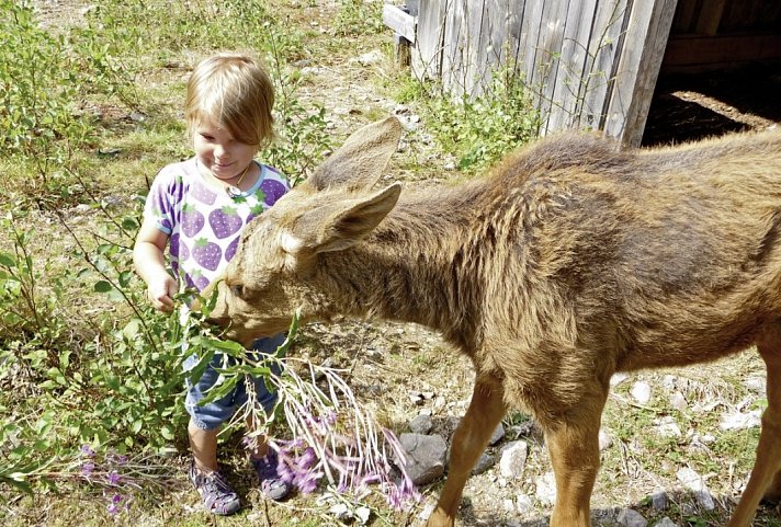 Familienreise in Schweden