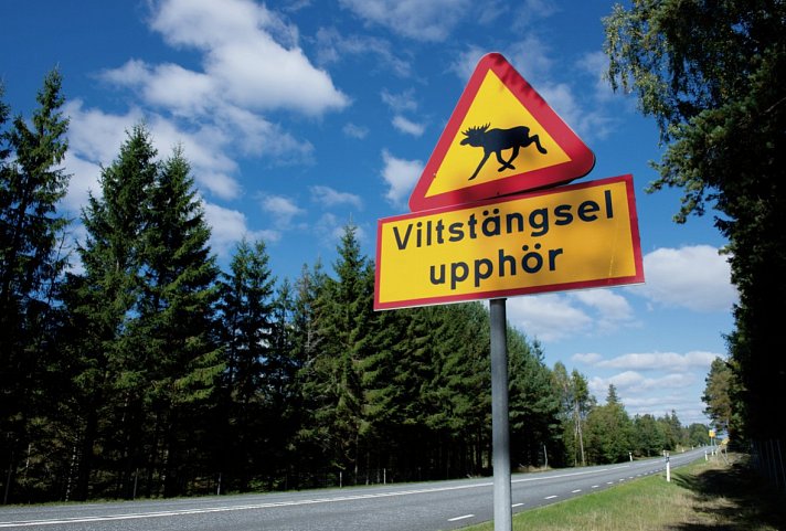 Von Küste zu Küste