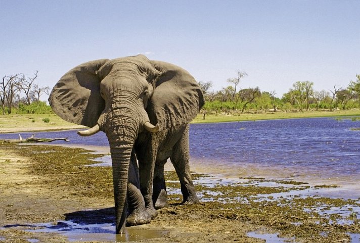 Botswana & Sambia - Tierreichtum & Magie