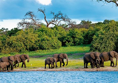 Safariromantik - Botswana und Victoria Falls Maun