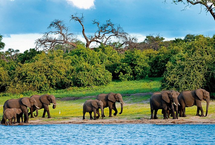 Safariromantik - Botswana und Victoria Falls