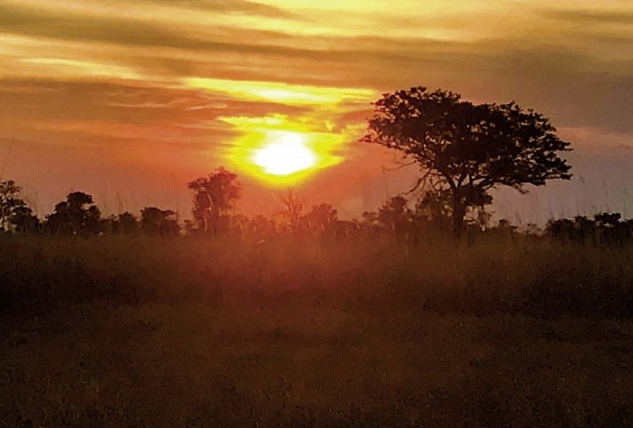 Safariromantik - Botswana und Victoria Falls