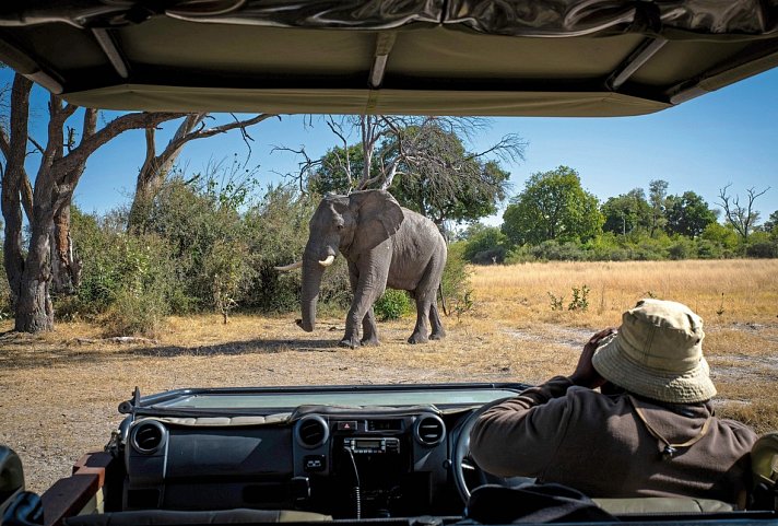 Botswana - Safaritraum mit Natural Selection 6 Nächte