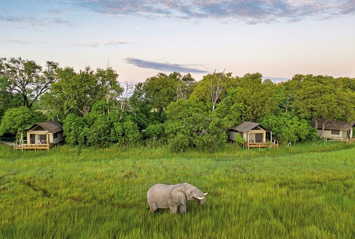 Botswana - Safaritraum mit Natural Selection 6 Nächte