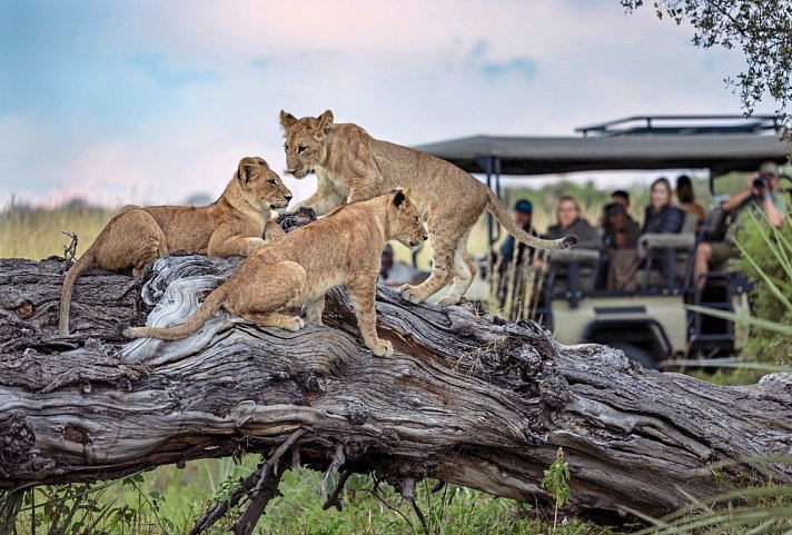 Botswana - Safaritraum mit Natural Selection 6 Nächte