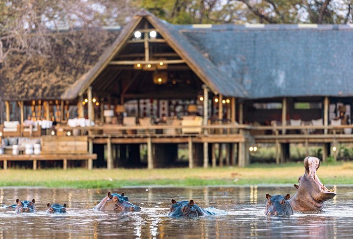 Botswana - Safaritraum mit Natural Selection