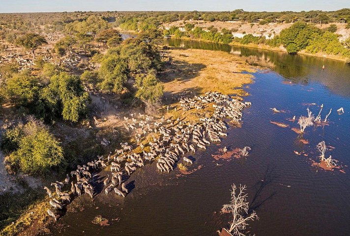 Botswana - Safaritraum mit Natural Selection