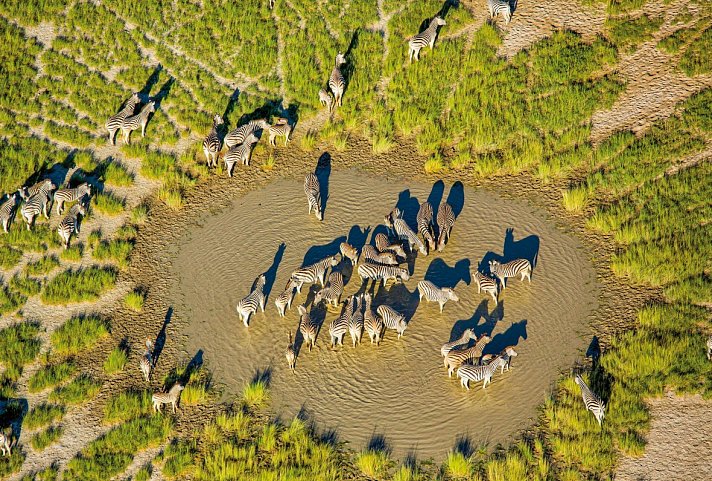 Botswana - Safaritraum mit Natural Selection