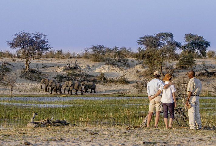 Der Herzschlag Afrikas (6 Nächte ab Maun)