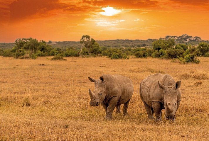 Drifters - Botswana Explorer Maun-Victoria Falls