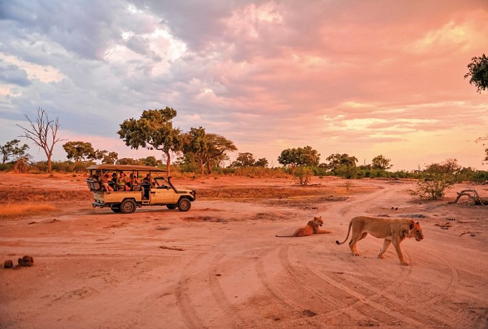 Safari Highlights im Herzen Afrikas