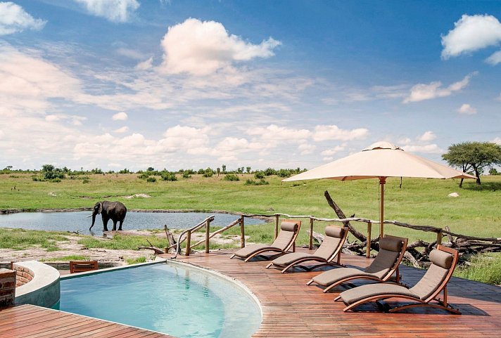 Safari Highlights im Herzen Afrikas