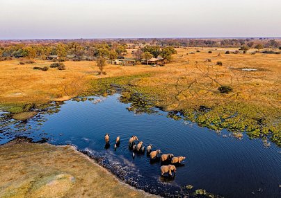 Botswanas Highlights mit Natural Selection Maun