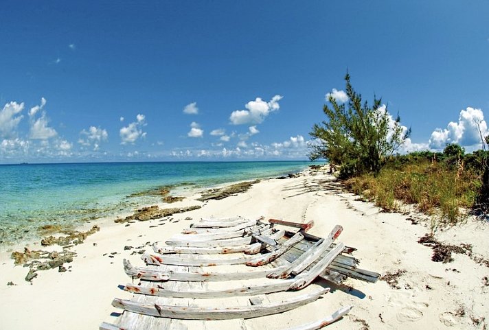 100 % Bahamas - Abenteuer Deluxe - Aqua Cat