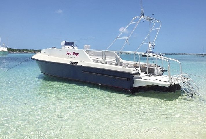 100 % Bahamas - Abenteuer Deluxe - Aqua Cat