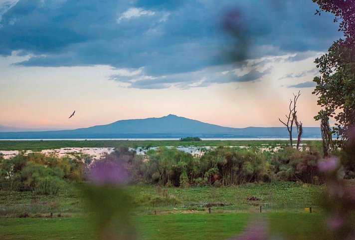 Governors' Camp Collection Kenia