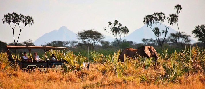 Elewana Sky Safari Kenia Connoisseur