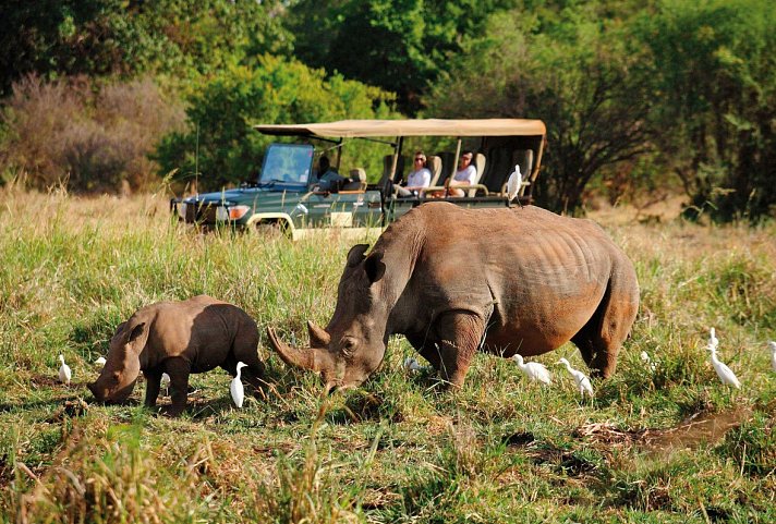 Elewana Sky Safari Kenia Connoisseur