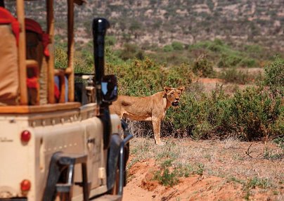 Kenia für Genießer Nairobi