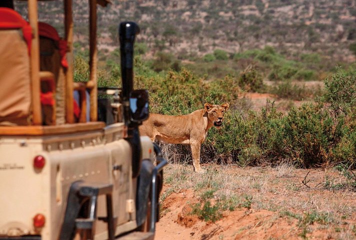Kenia für Genießer