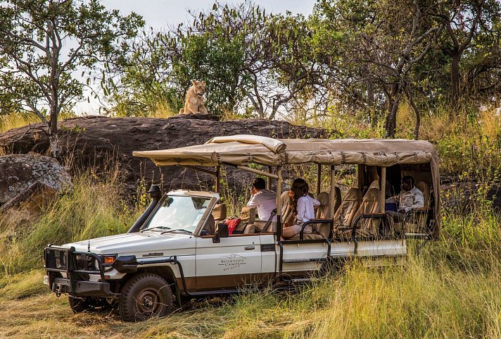 Bushtops Hopping in Kenia und Tansania