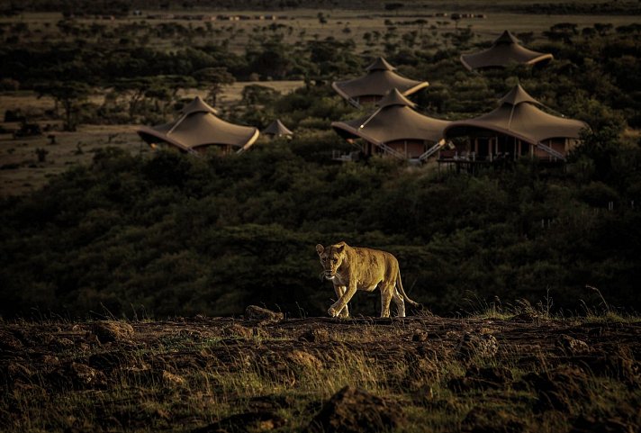 Mahali Mzuri & Msambweni Beach House