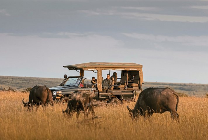Bush & Beach Safari mit Hemingways Collection