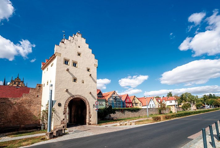 Die Bocksbeutelstraße - eine Reise zum Frankenwein