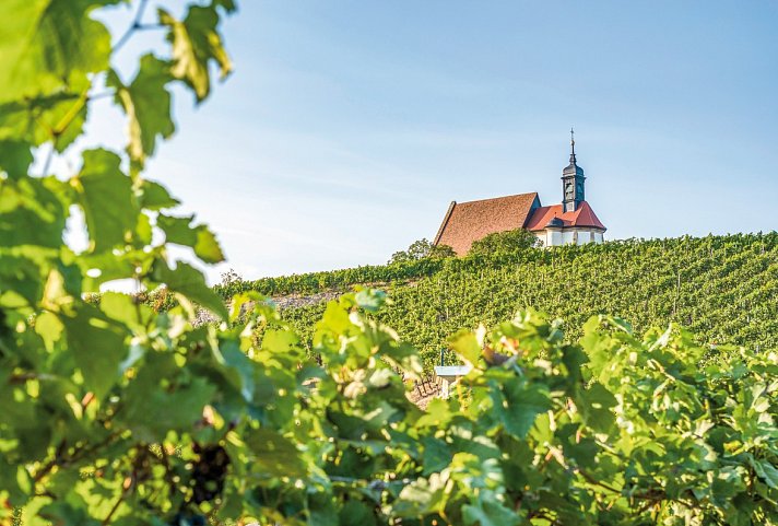 Die Bocksbeutelstraße - eine Reise zum Frankenwein