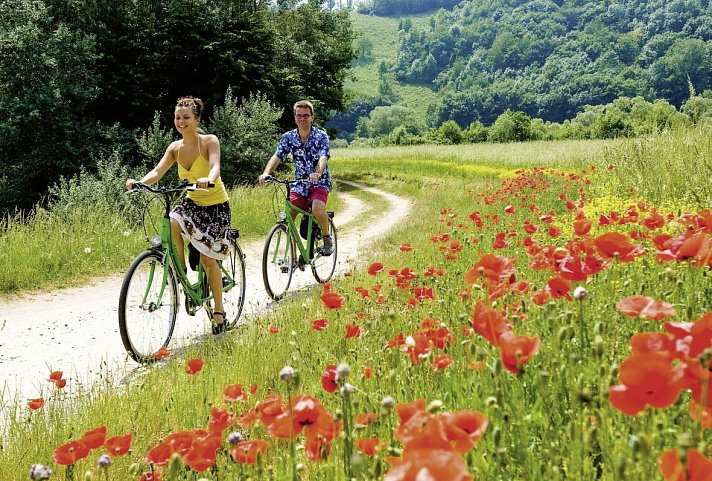 Main-Radweg