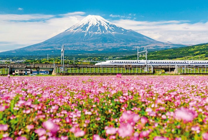 Japan zur Weltausstellung (inkl. Flug)