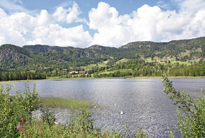 Fjordgiganten und Berglandschaften
