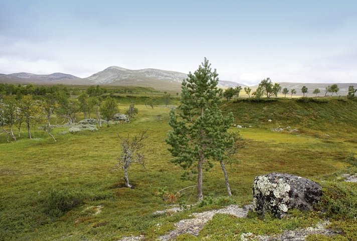 Reizvolles Norwegen
