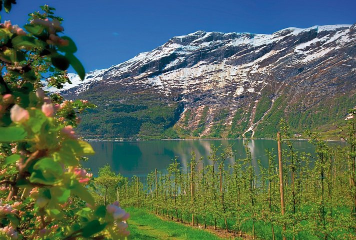 Norwegens Naturschauspiele erleben