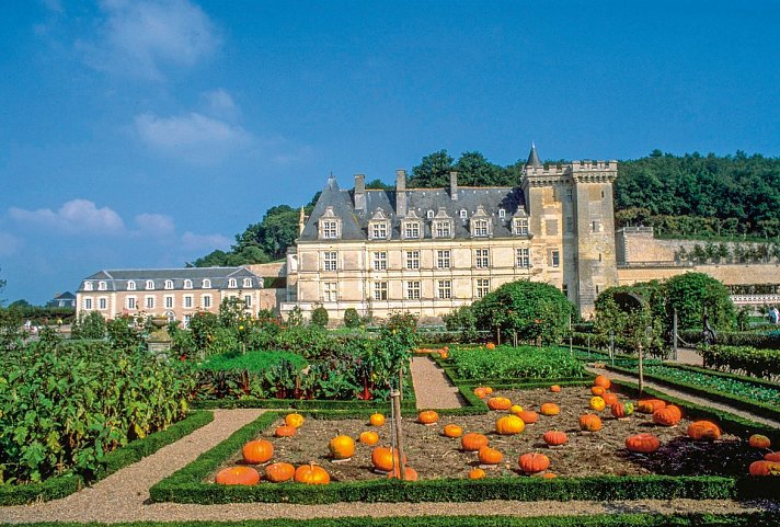 Schlösser der Loire ab Blois