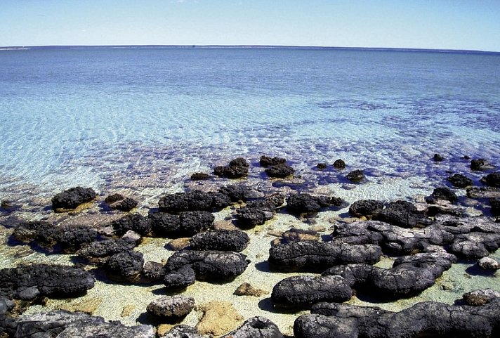 Höhepunkte im Westen Australiens (10 Tage)