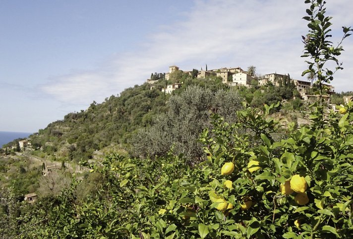 Mallorca - Trans Tramuntana